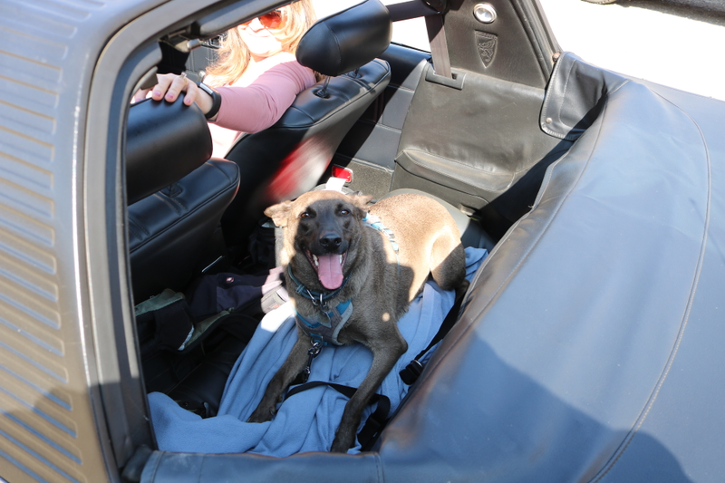 Illustration for article titled Sunchaser Road Trip Photodump.